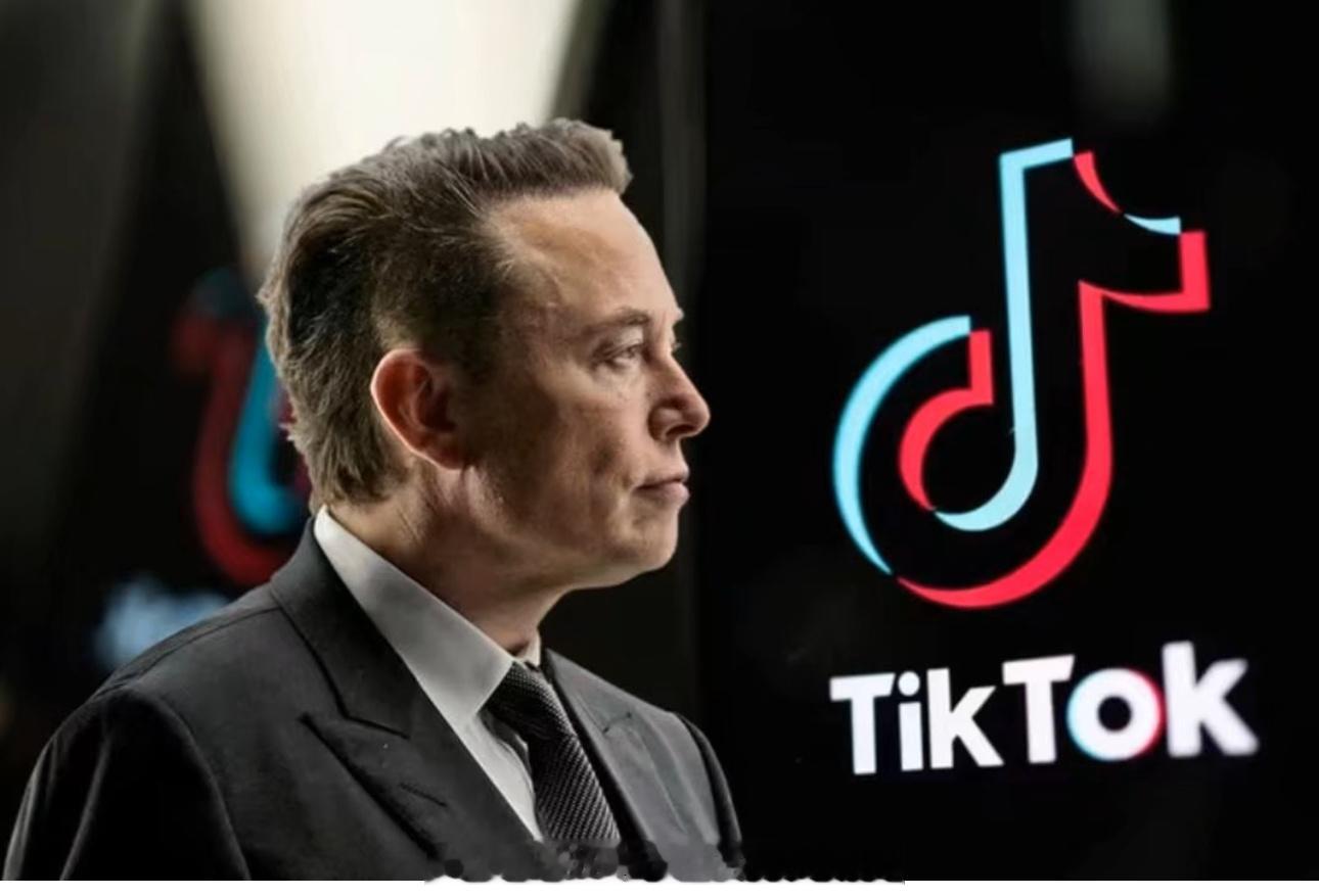 马斯克都下场了：“我认为，TikTok 不应该在美国被禁止，尽管这样的禁令可能会