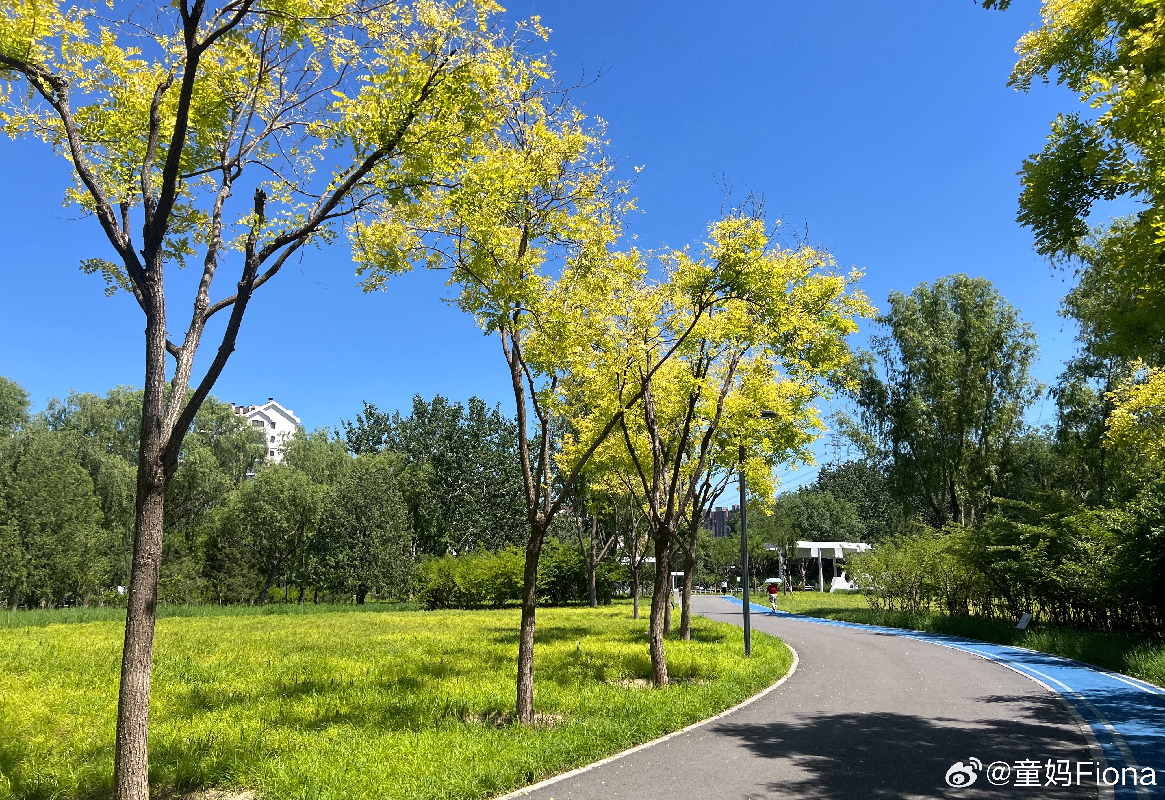 这个时代怎么利用Ai感觉很近又很远如果之前有互联网那些经验用起来更快我现在还挺茫