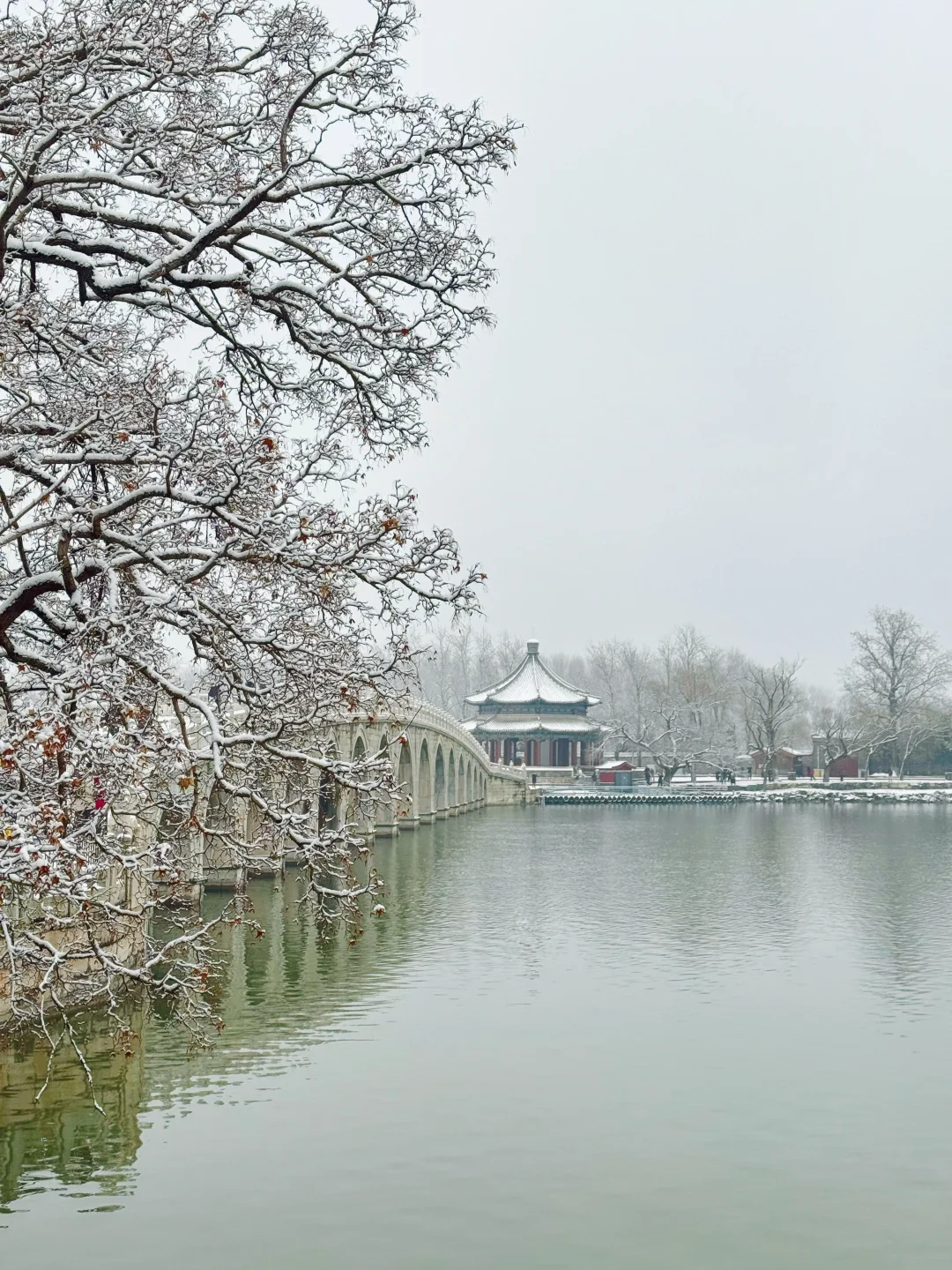 3.5雪后颐和园❗颐和园的景永远不会让你失望