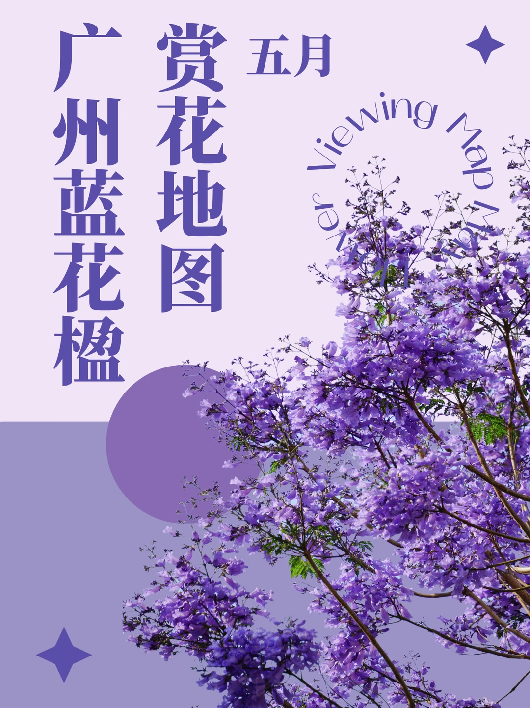 广州蓝花楹7大赏花地💜五月限定紫色浪漫