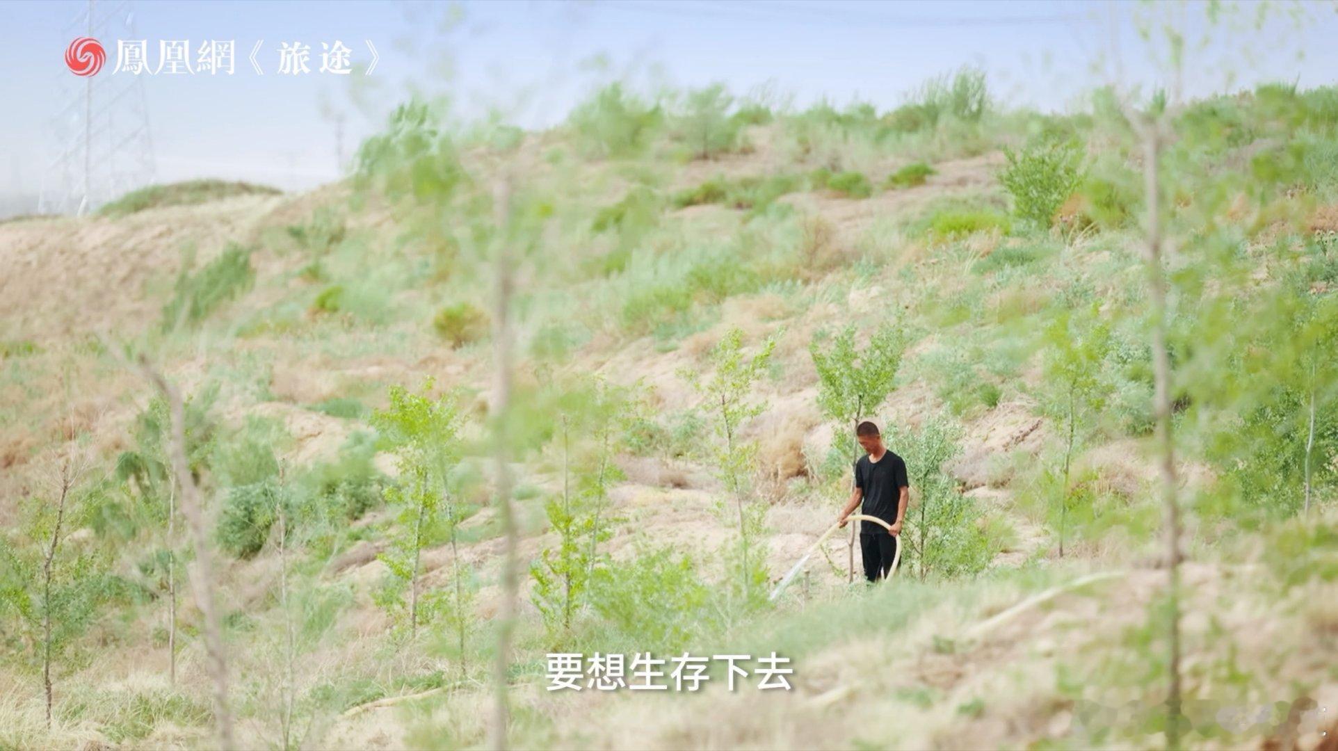 甘肃这群人让239万亩沙漠变绿洲 古浪的治沙是真的让老百姓过上好日子了！黄沙锁住