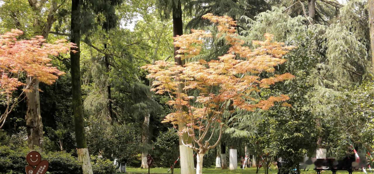 别再委屈自己了，你越懂事，越没人疼；你越迁就，越被忽略；你越善良，越被欺负。
记