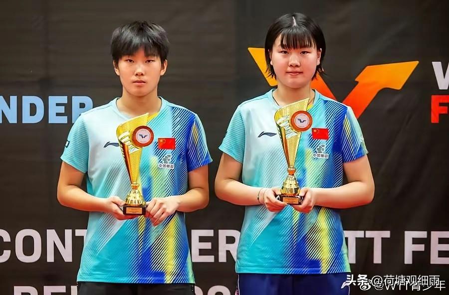 直板打法到国家队有倾斜政策，横板双反打法没有任何照顾，可以理解为横板双反的姜依依