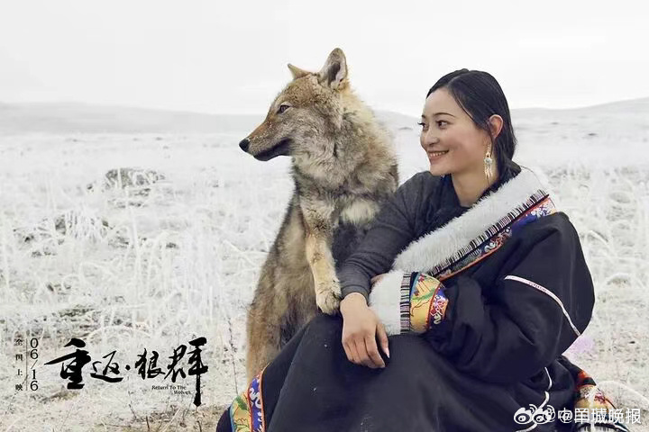 【#出版社让读者选重返狼群出版日期#】1月23日，李微漪表示目前属意将《重返狼群