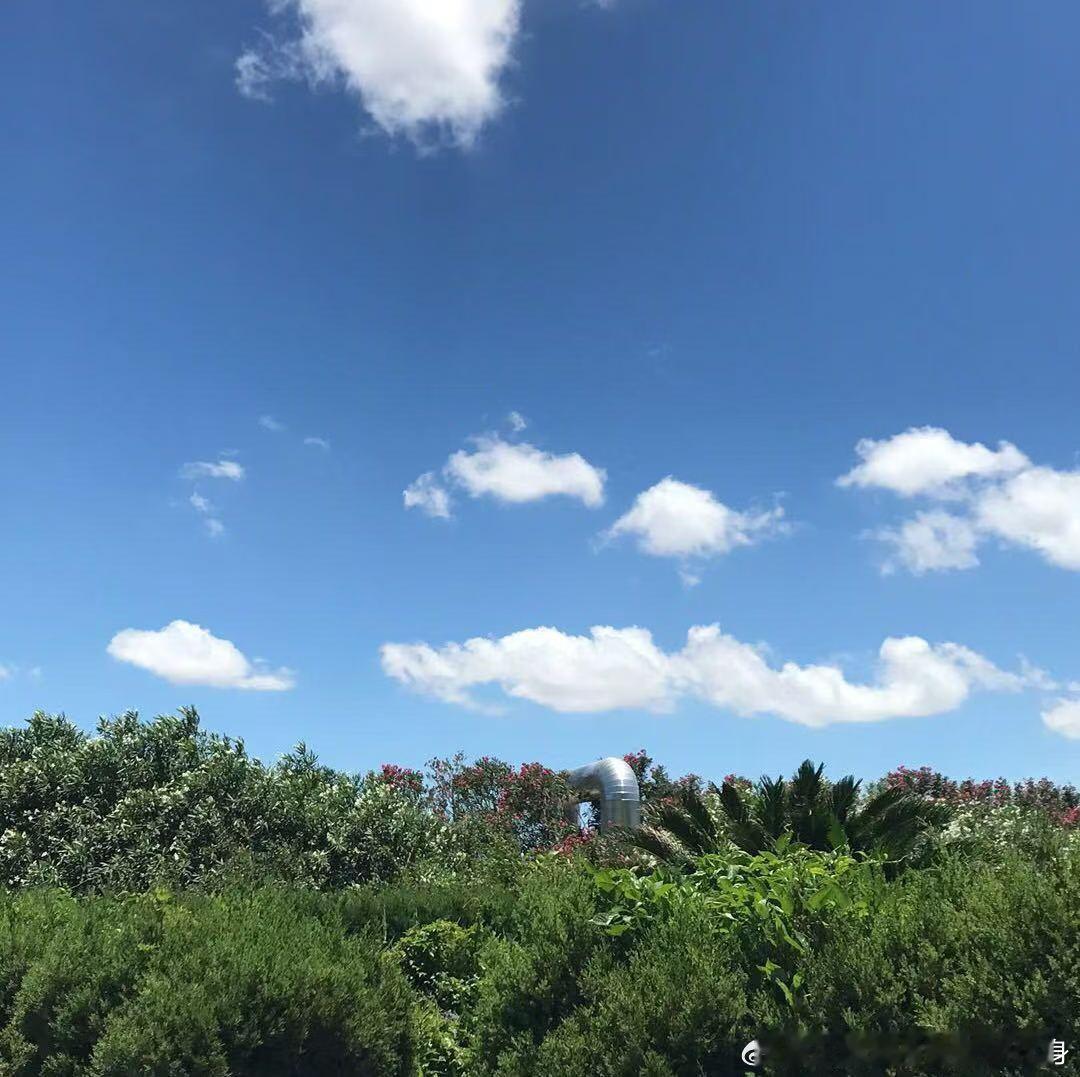 当生活再也没有惊喜和感动，你就会发现，其实孤独就是最大的自由。早安孤独是什么体验