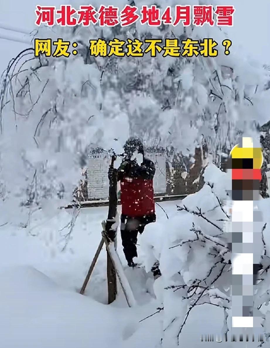 四月大暴雪，这怎么了