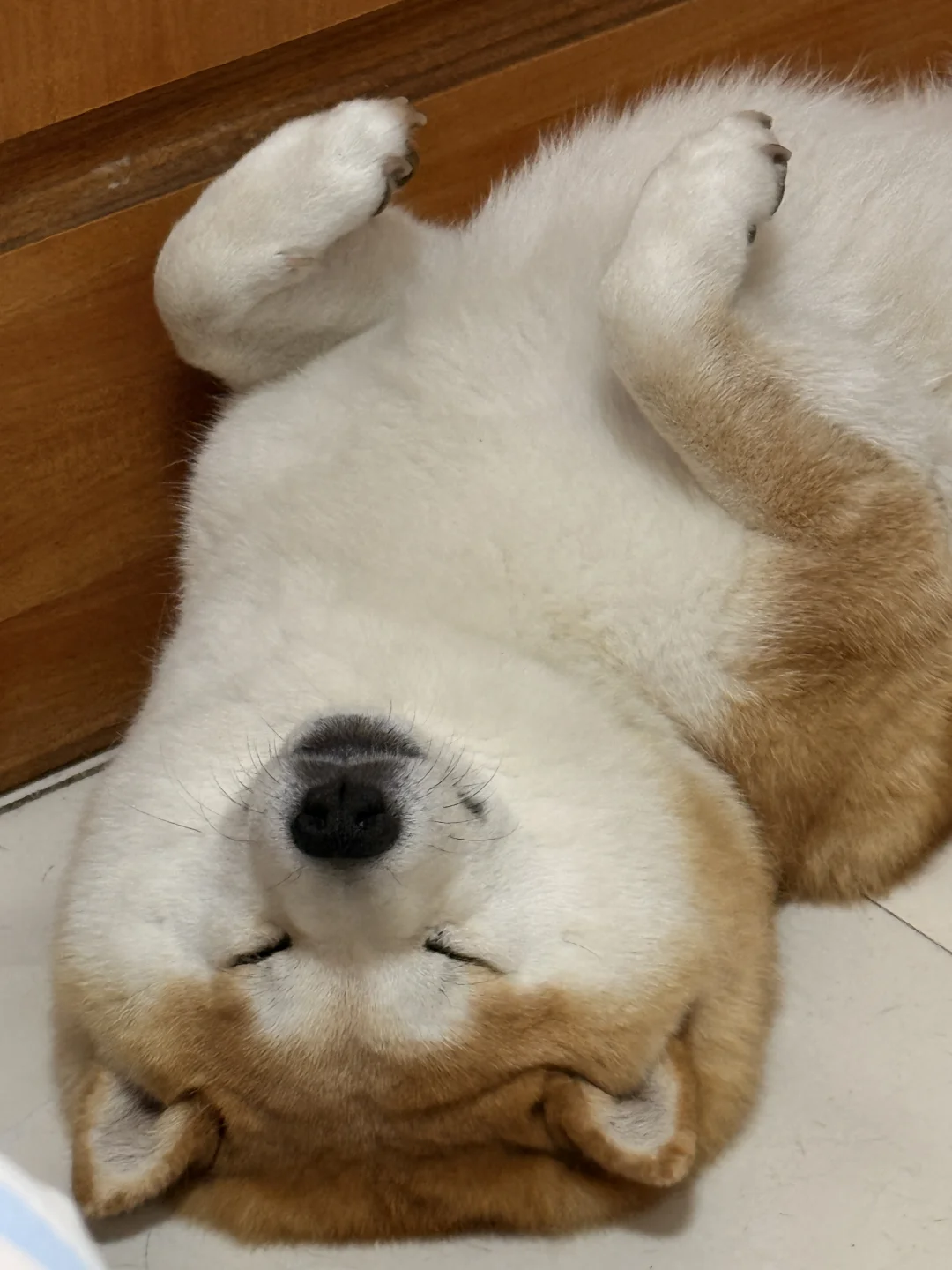 请欣赏优美的睡姿