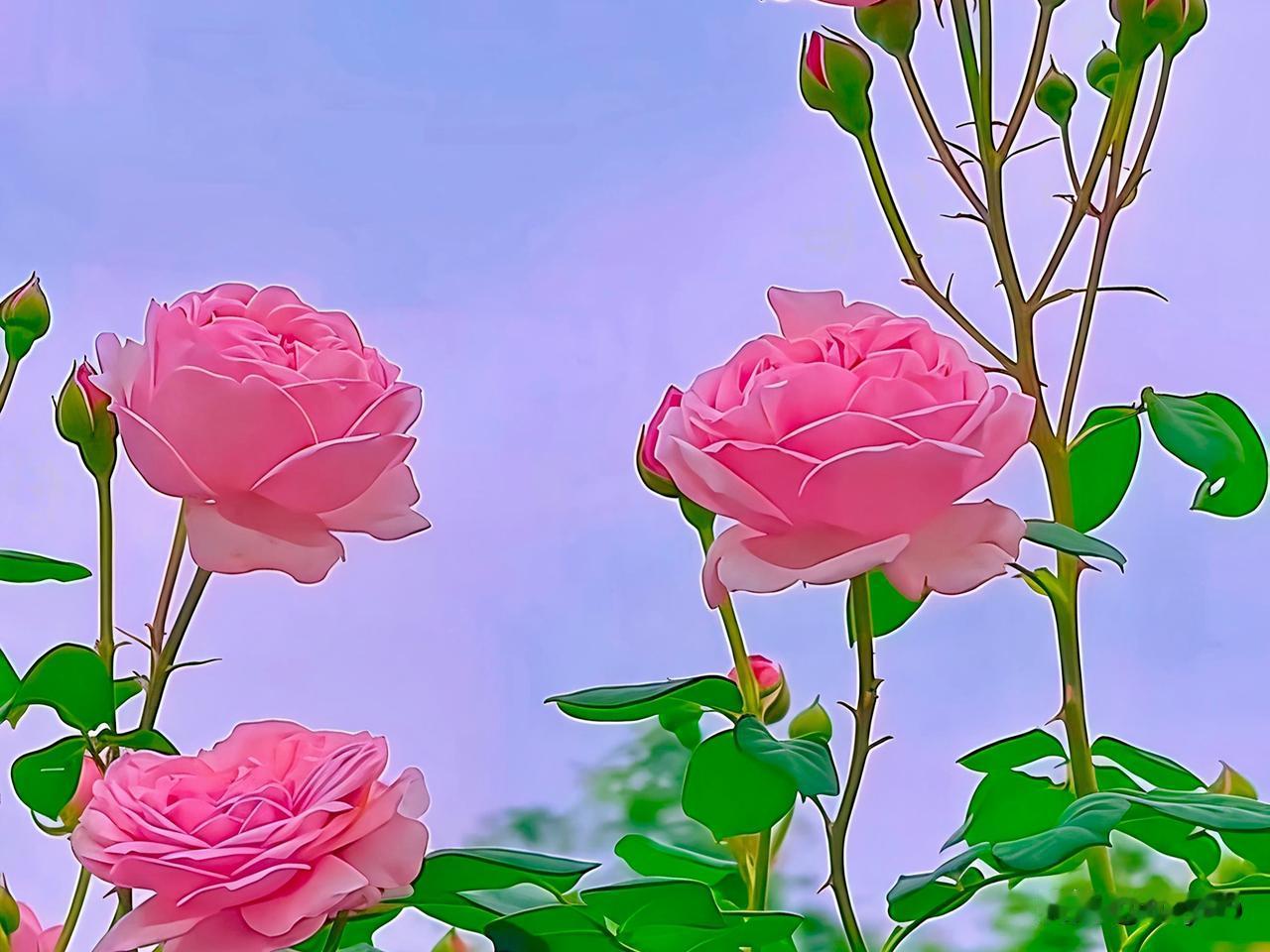 我认为应该，压岁钱本质是人情往来，由家长代为收纳存入专项基金，悉心妥善保管，待孩