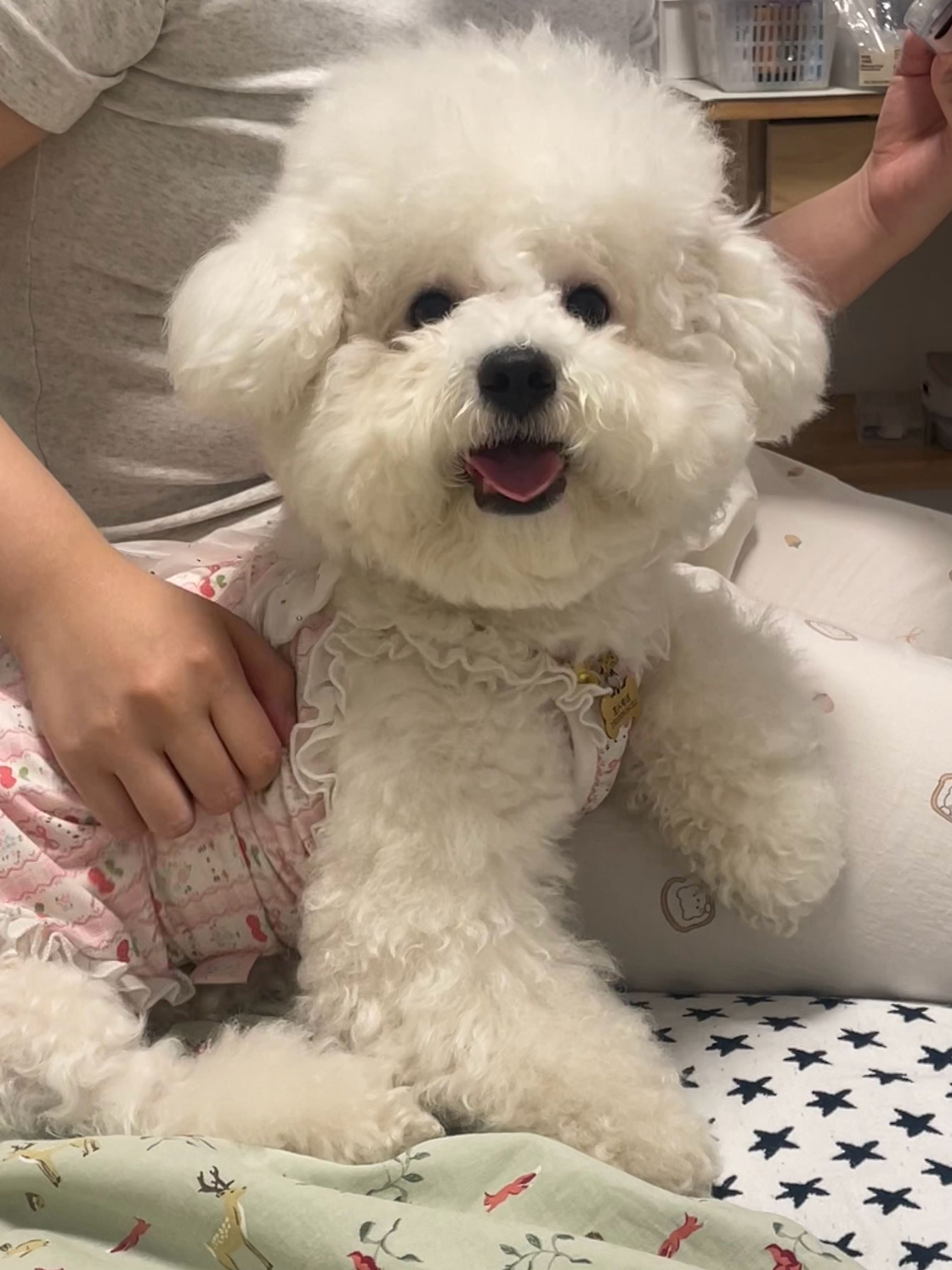 宝子想一口吃了你 