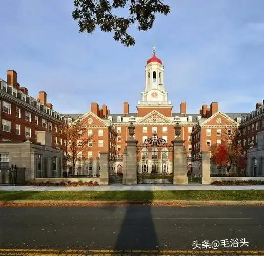 特朗普阻止哈佛大学获新资助，高校与政府矛盾激化
 
当地时间5月5日，特朗普政府