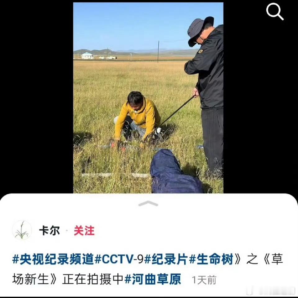 生命树 纪录片没错啊！炳胜很久之前就发了，杨紫主演的电视剧《生命树》纪录片早早立