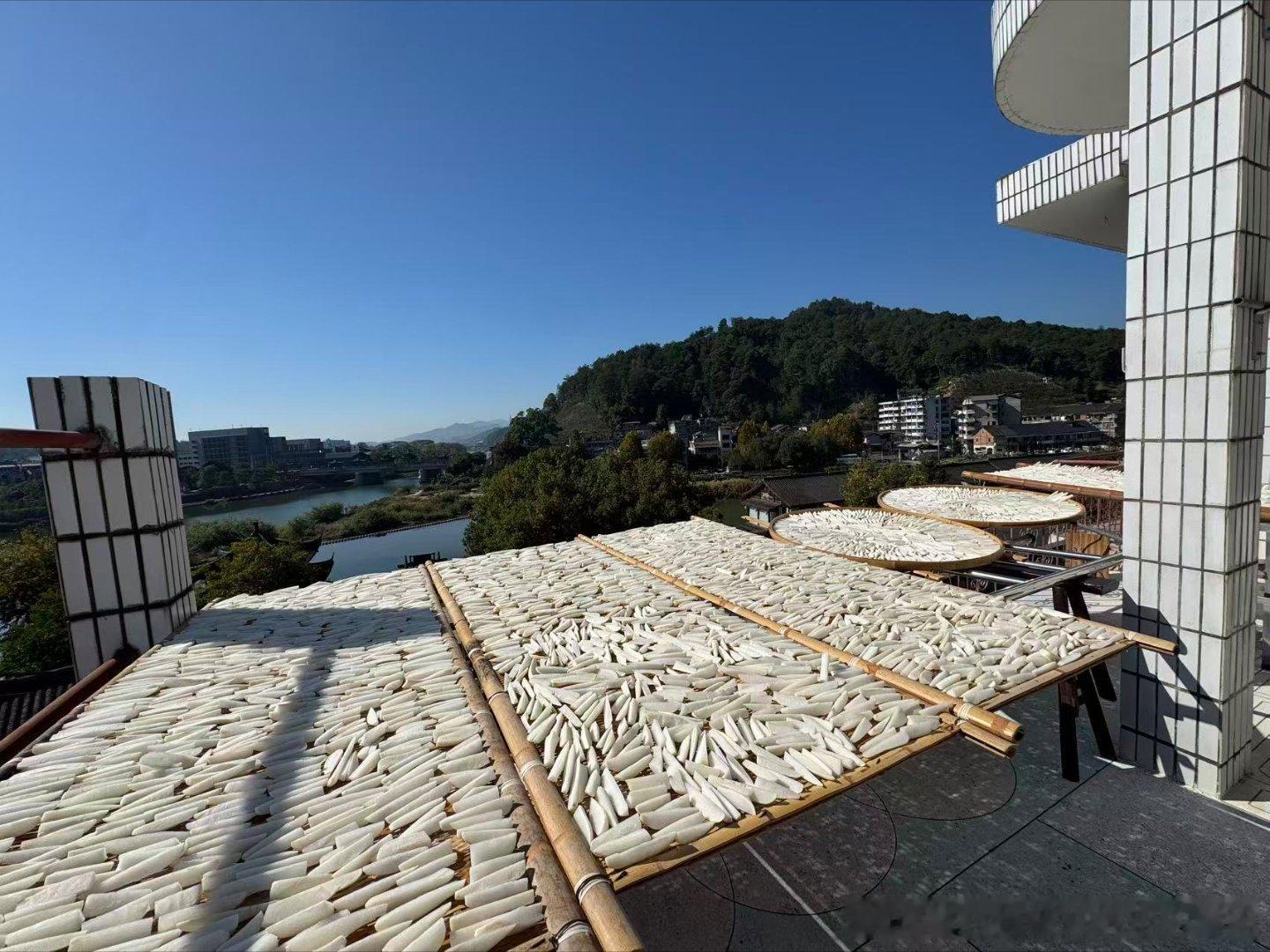 闪闪最可爱特别喜欢那个小姑娘小孩子有人陪伴最好黄一鸣主要还要直播带货比较辛苦要工