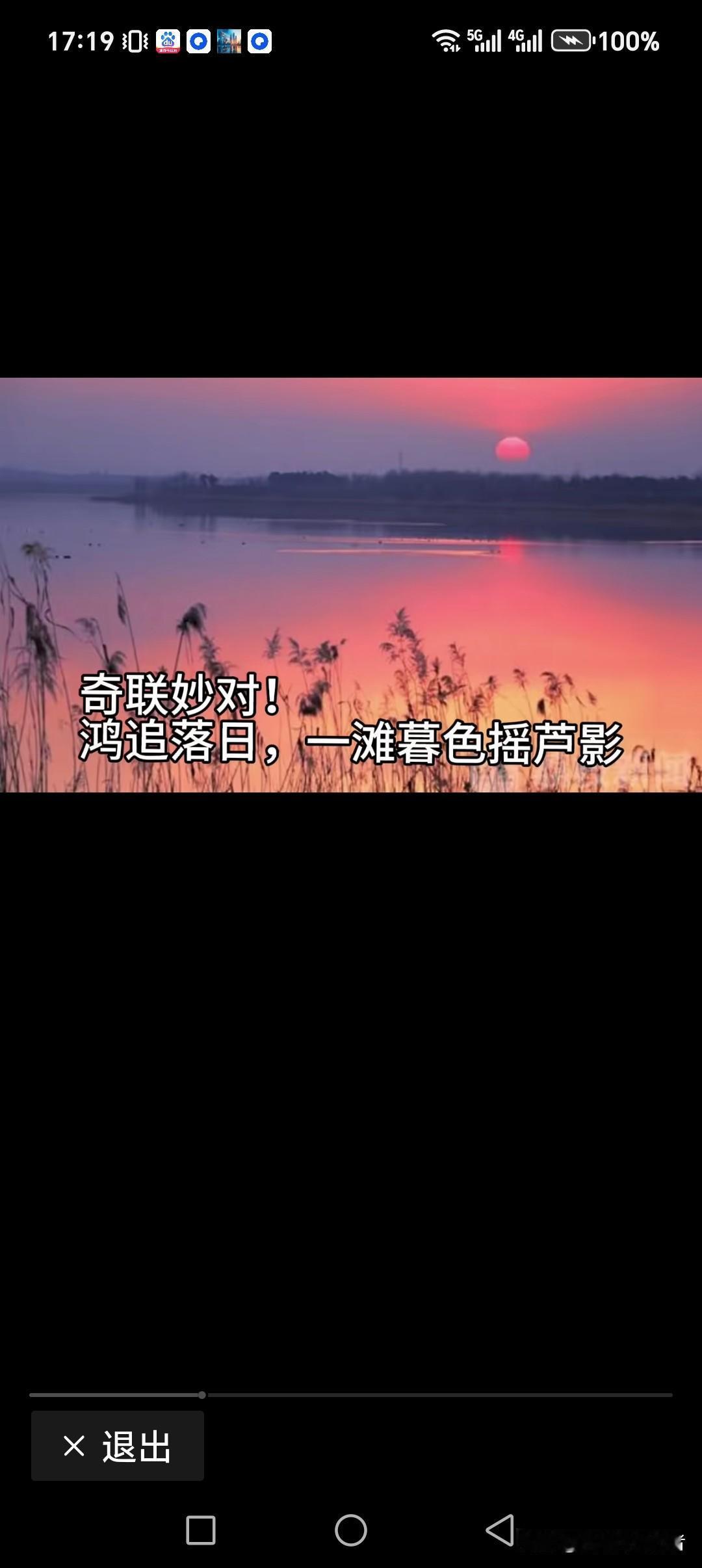 鸿追落日，一滩暮色摇芦影
烟随幕起，一群大雁掠鸣过