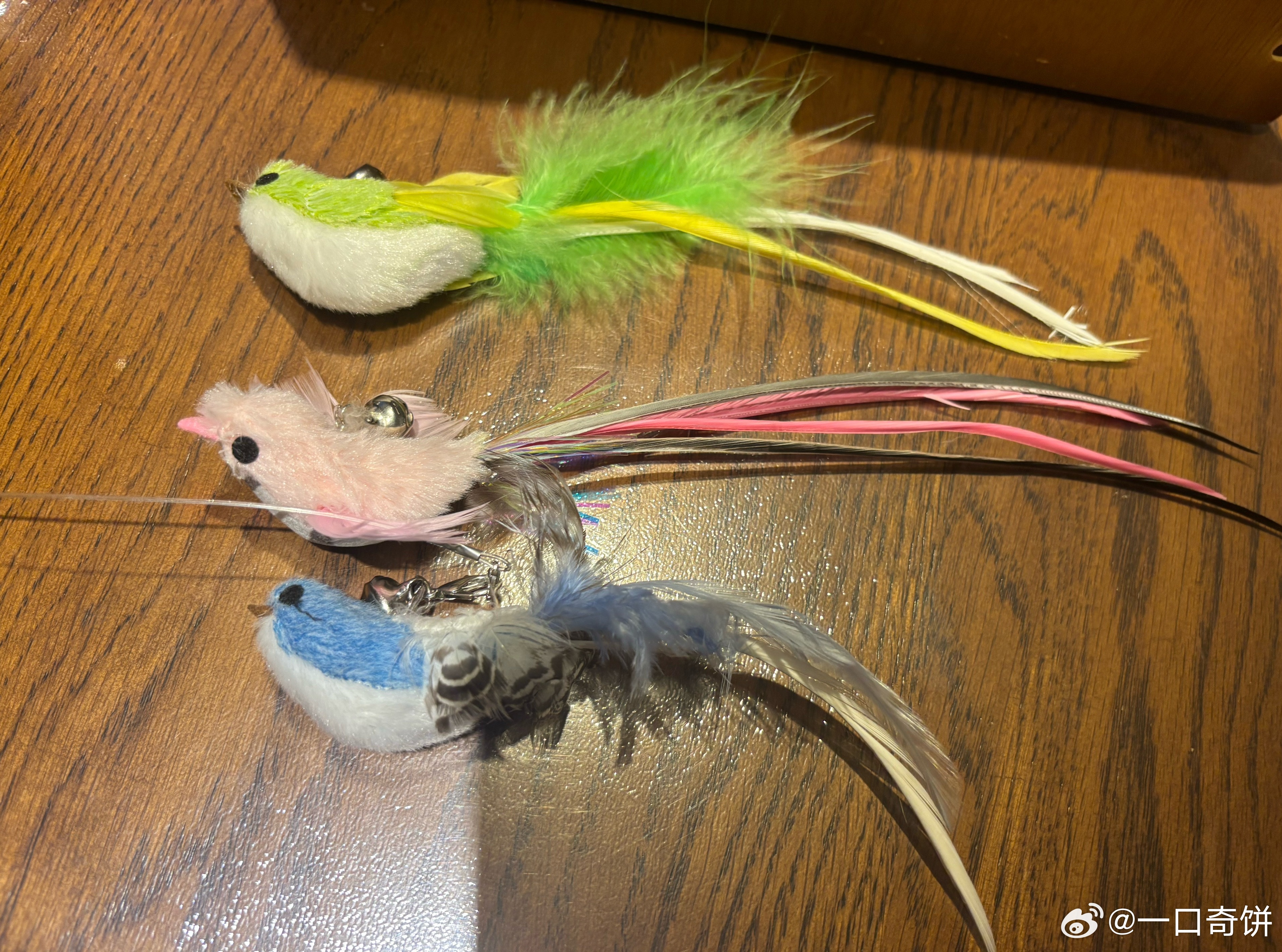 给家猫买了一套里芭蕾 