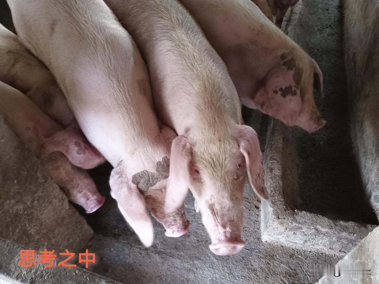 没有流量的作品，为何不删除，快两年了，我才二百篇，并不是因为发文不多。

没有流