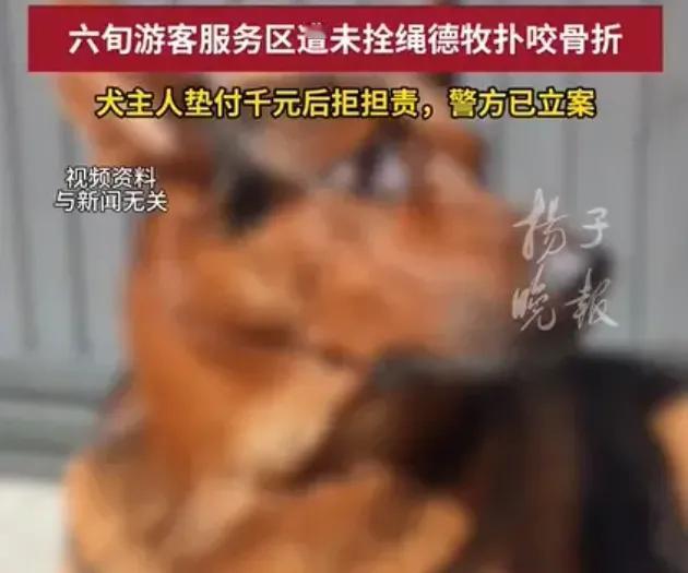 遛狗不拴绳还理直气壮的人，真得用点手段让他们知道什么叫疼！

云南罗平金鸡服务区