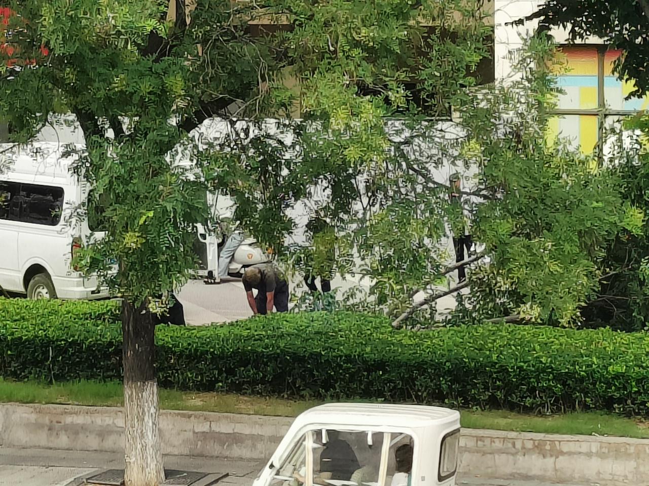刚才坐落在徐州西苑的亿仟客超市电梯对面的一棵大树被砍了！是不是影响了电梯跟前的一