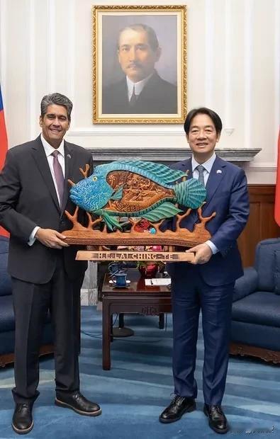 帕劳🇵🇼总统送给赖清德
这货什么礼物🎁？