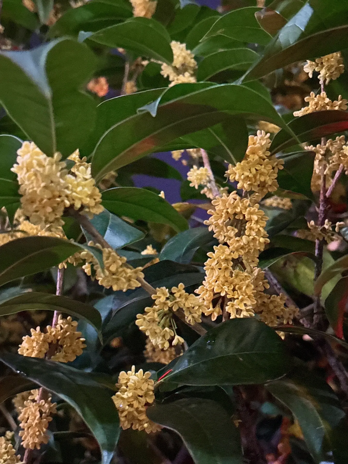 天气说冷就冷了，还好有你的温暖。