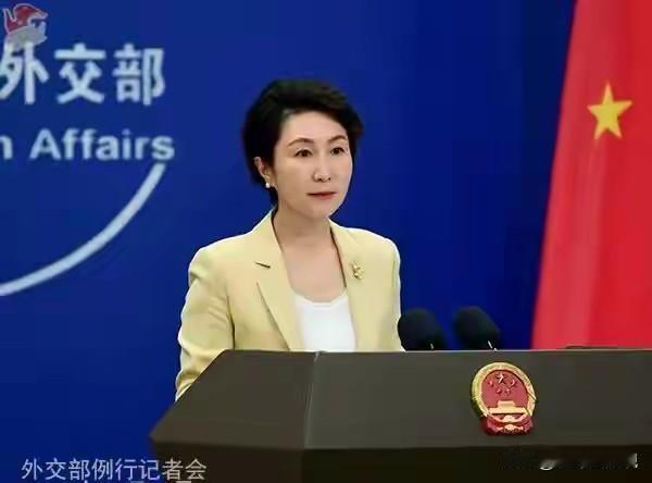 外交部已经回应了，菲律宾防长拿菲律宾人民的福祉搞政治秀，不道德也没有感恩之心，这
