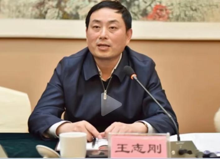 湖南省国防动员办公室（省人民防空办公室）原党组副书记、副主任王志刚涉嫌严重违纪违