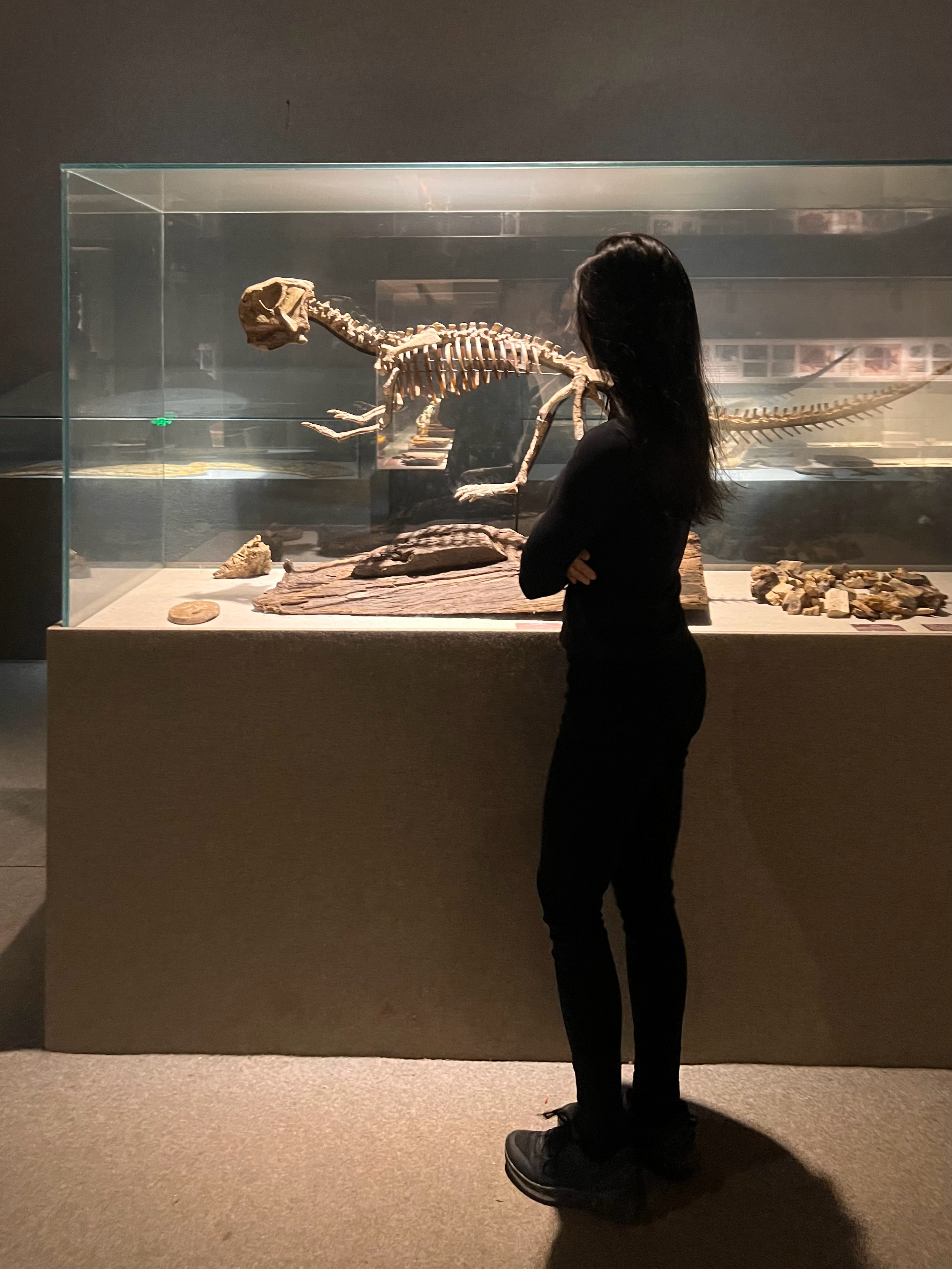 昨天在武汉周边逛到一家很特别的博物馆——嘉鱼光年城堡里的春秋战国精品博物馆。妈呀