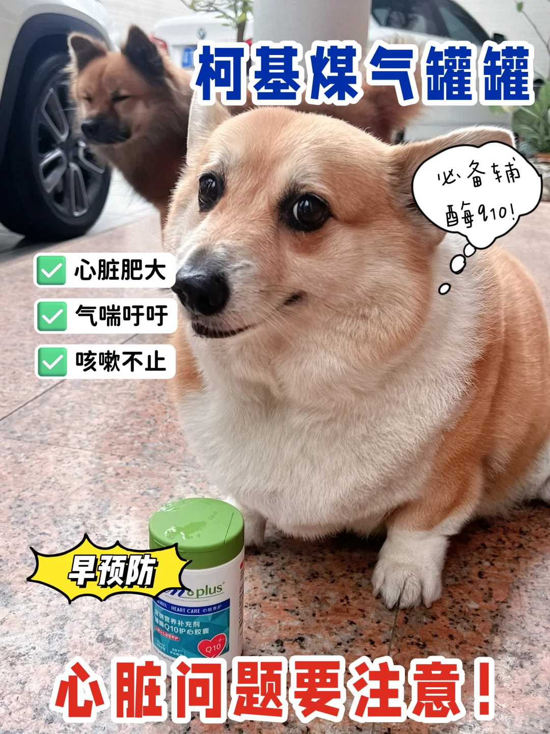 煤气罐罐的“心”动秘诀，替你们试过了！