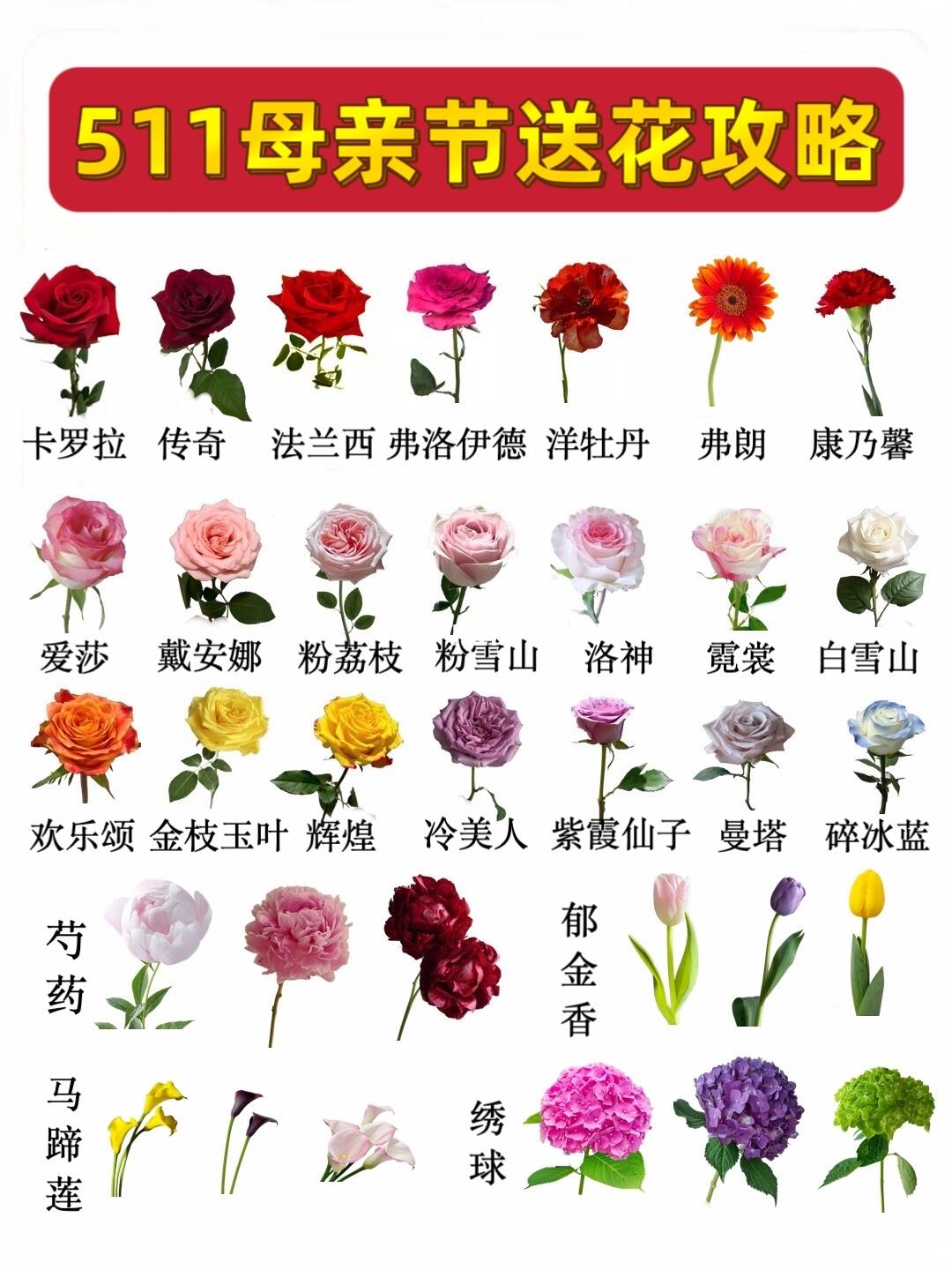 511母亲节送花攻略，花束搭配不踩雷💯