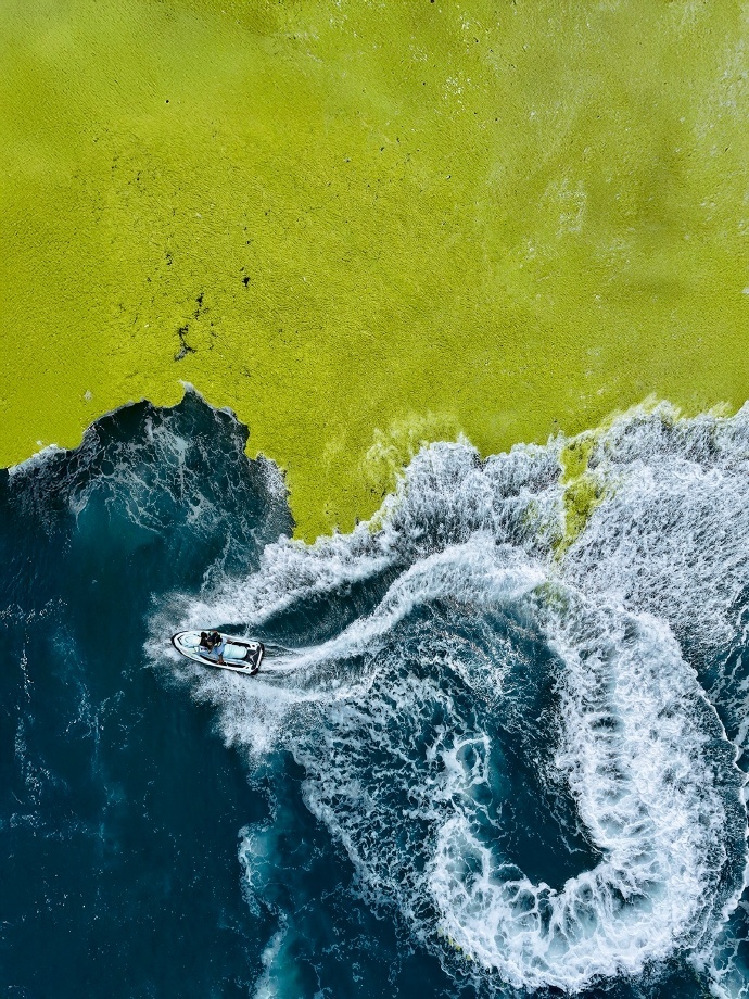 青岛 “海上草原”  今年的浒苔非常多，从高空俯瞰，如绿毯，覆盖海面，形成独特景