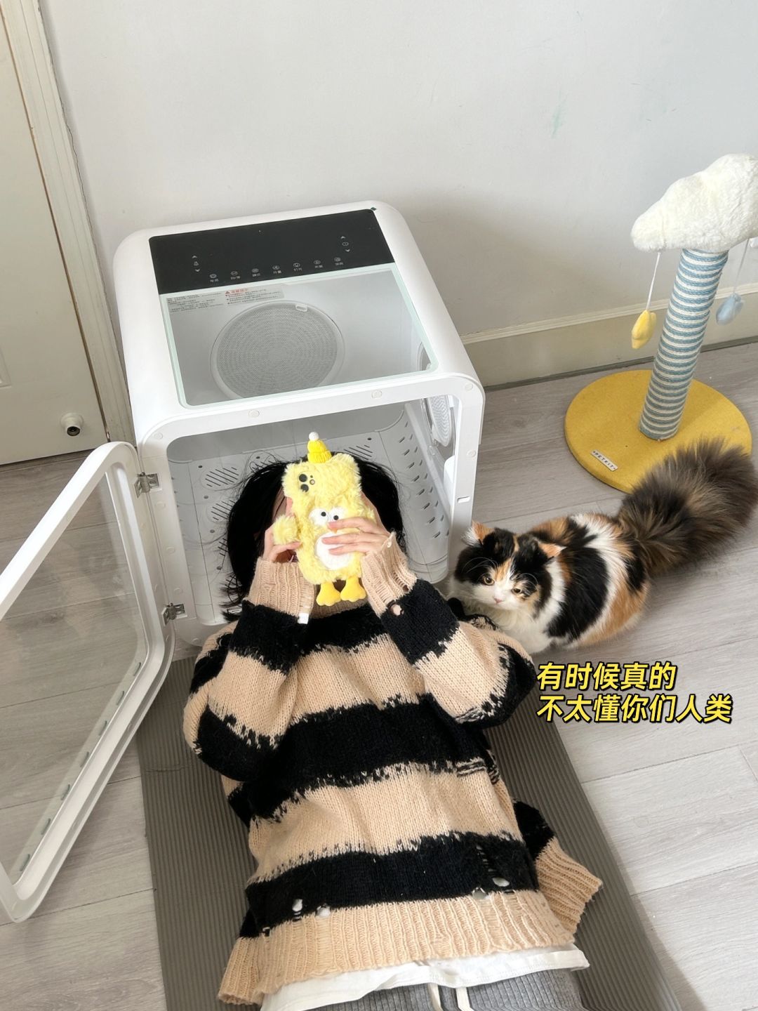 宠物烘干机真的买后悔了