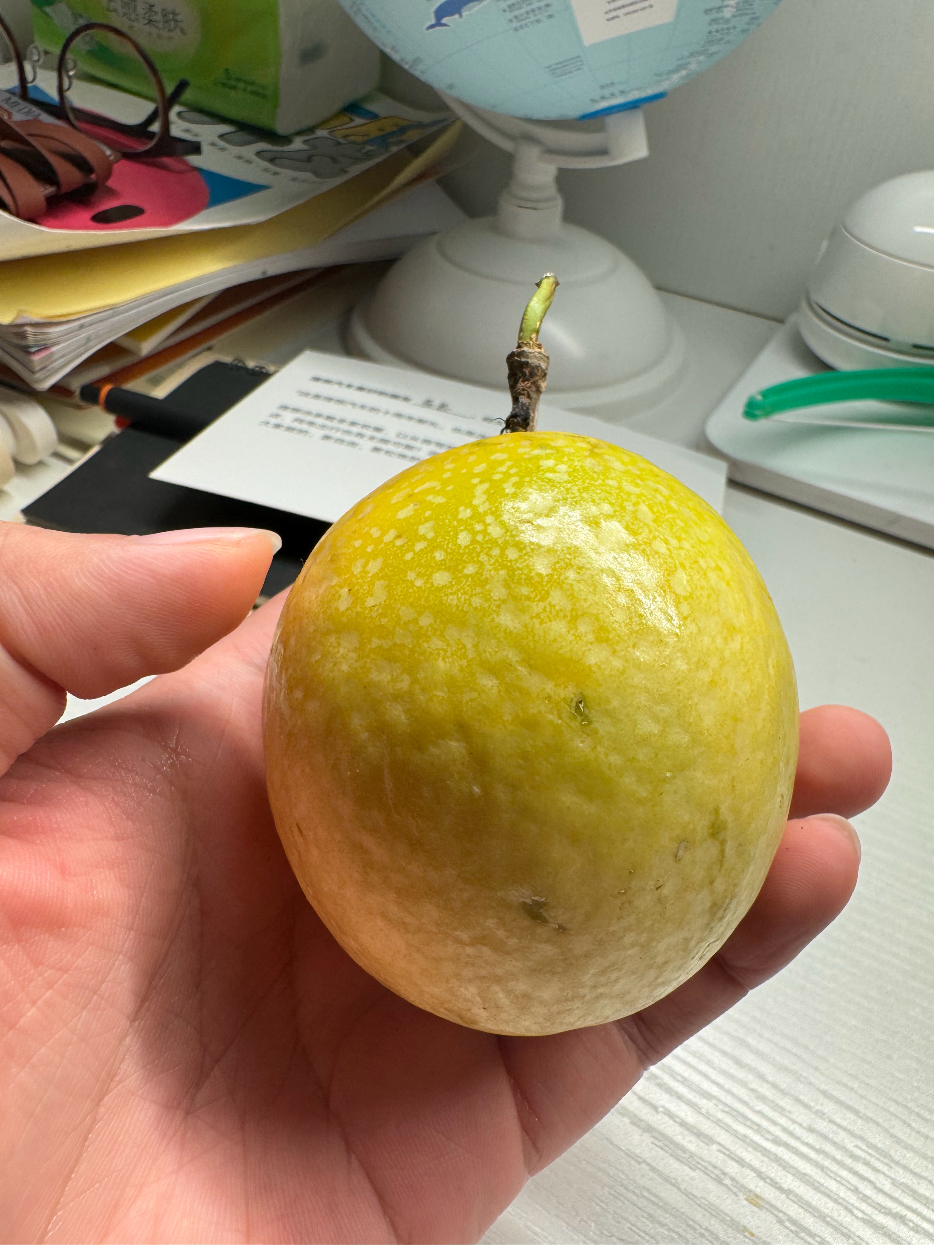 装修天才家的百香果是我见过最大的果然很 Ultra[馋嘴][馋嘴][馋嘴] ​​
