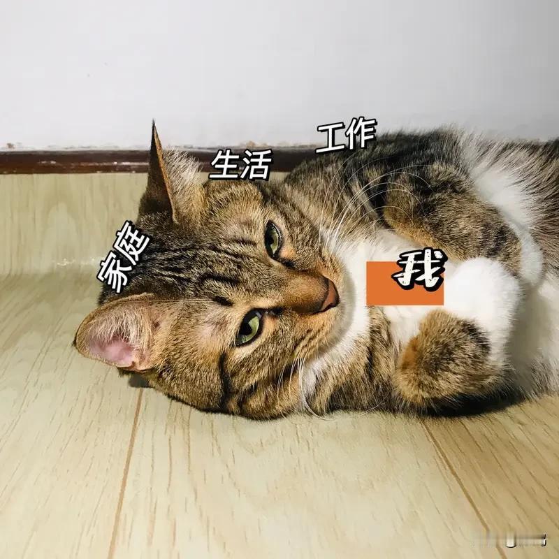 给大家提个醒！清朗行动要重点整治躺平账号了！抖音，头条，B站都有体量不小的账号被