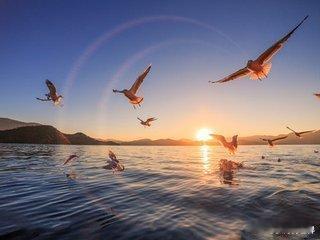如烟往事俱忘却，心地无私天地宽。大千世界，人海茫茫，其实个人只不过是人海中的一个