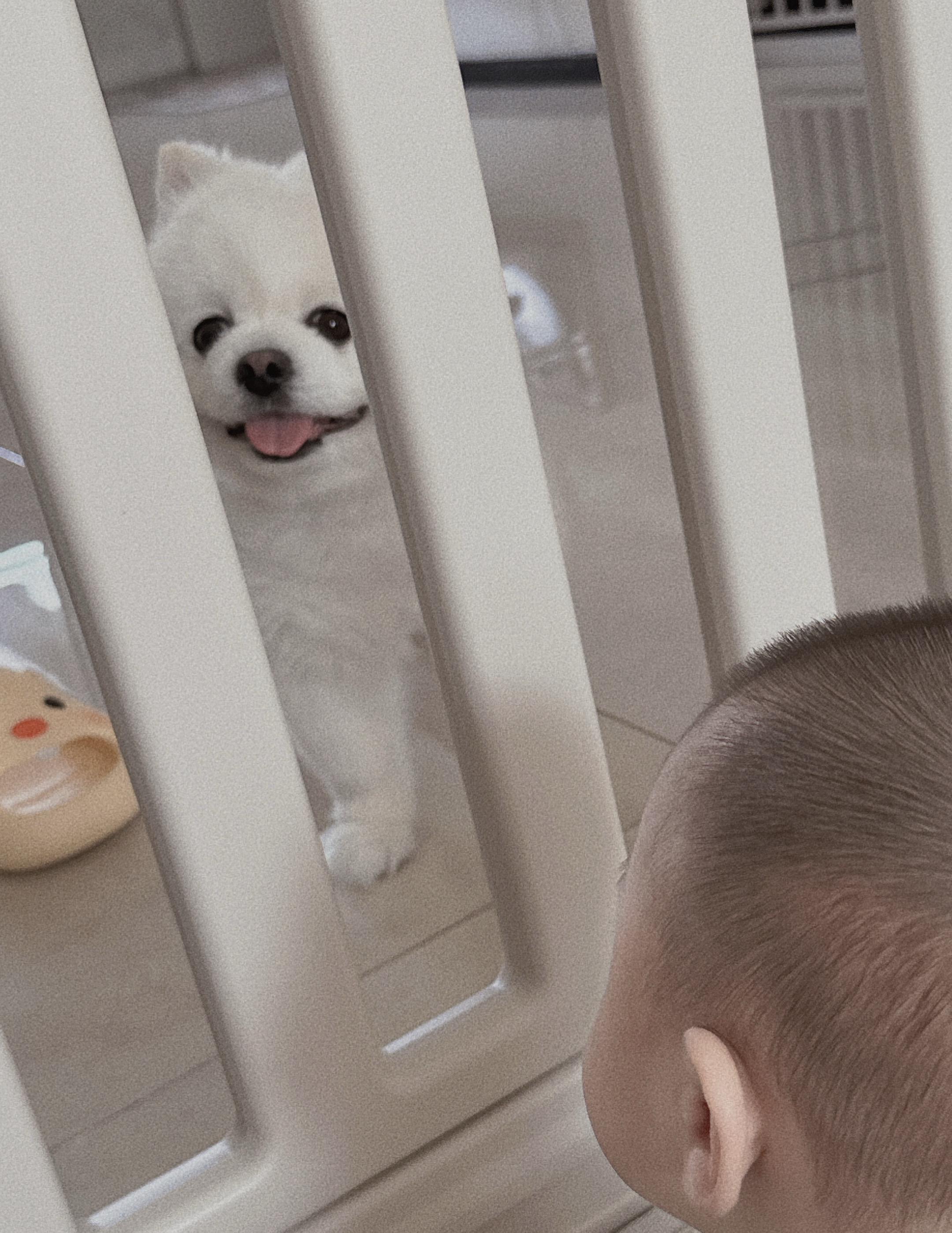 无条件爱你们 是我一直要做的事