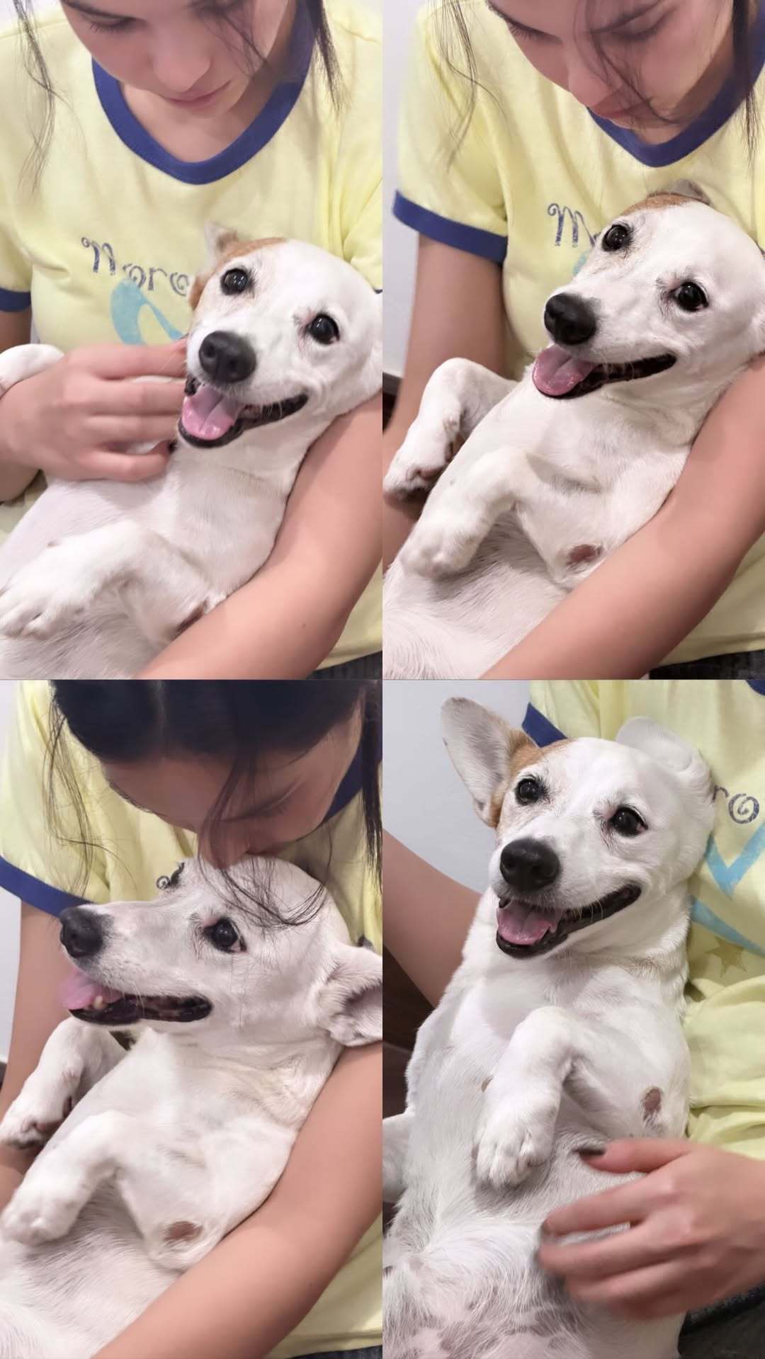 sy撸狗中 
