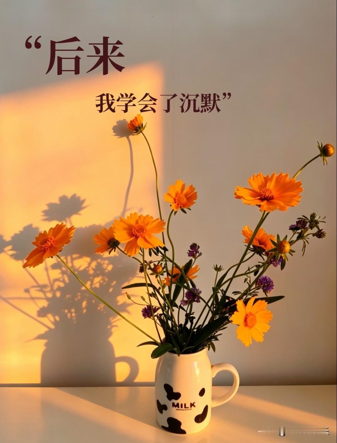 后来，
我学会了沉默。
 
慢慢明白，
不是所有心事，都适合逢人就说；
不是所有