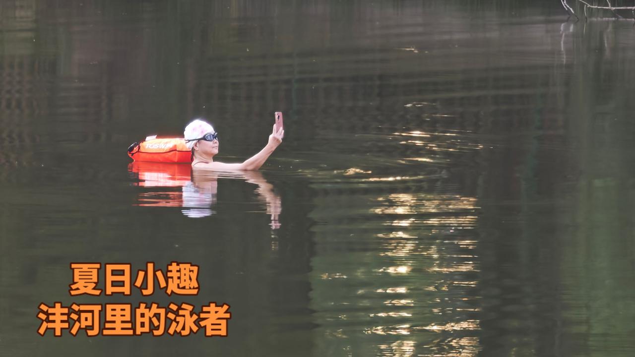 小暑已过，伏天将至，烈日炎炎，各类河道成了避暑纳凉的好选择，看看这一大早沣河里的