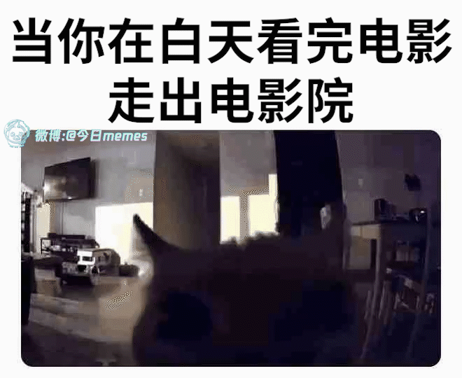 嚯（9gag）今日meme今日memes