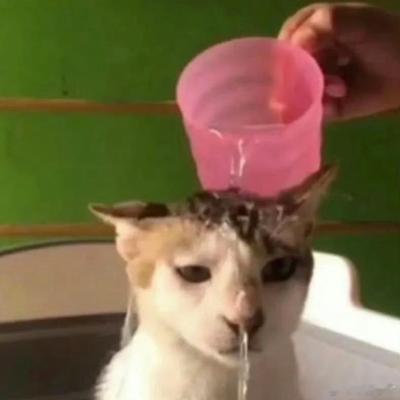 贾士凯都强吻了，我怀疑不让江山咩老师那个角色应该没那么差，可能低开高走，不然贾士