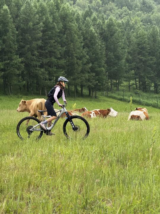 牛马我去山里当🤪🤪🤪