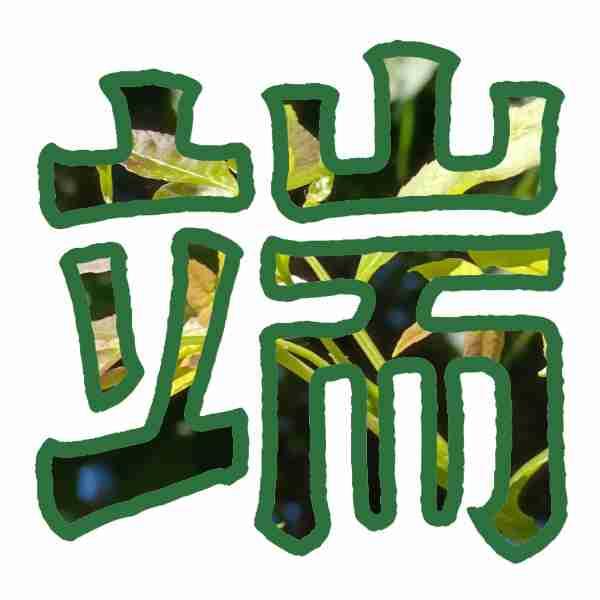 赛龙舟吃粽子，端午安康送祝福。
鼓声劈开水面，龙舟箭一般窜出去。桨起桨落，白浪翻