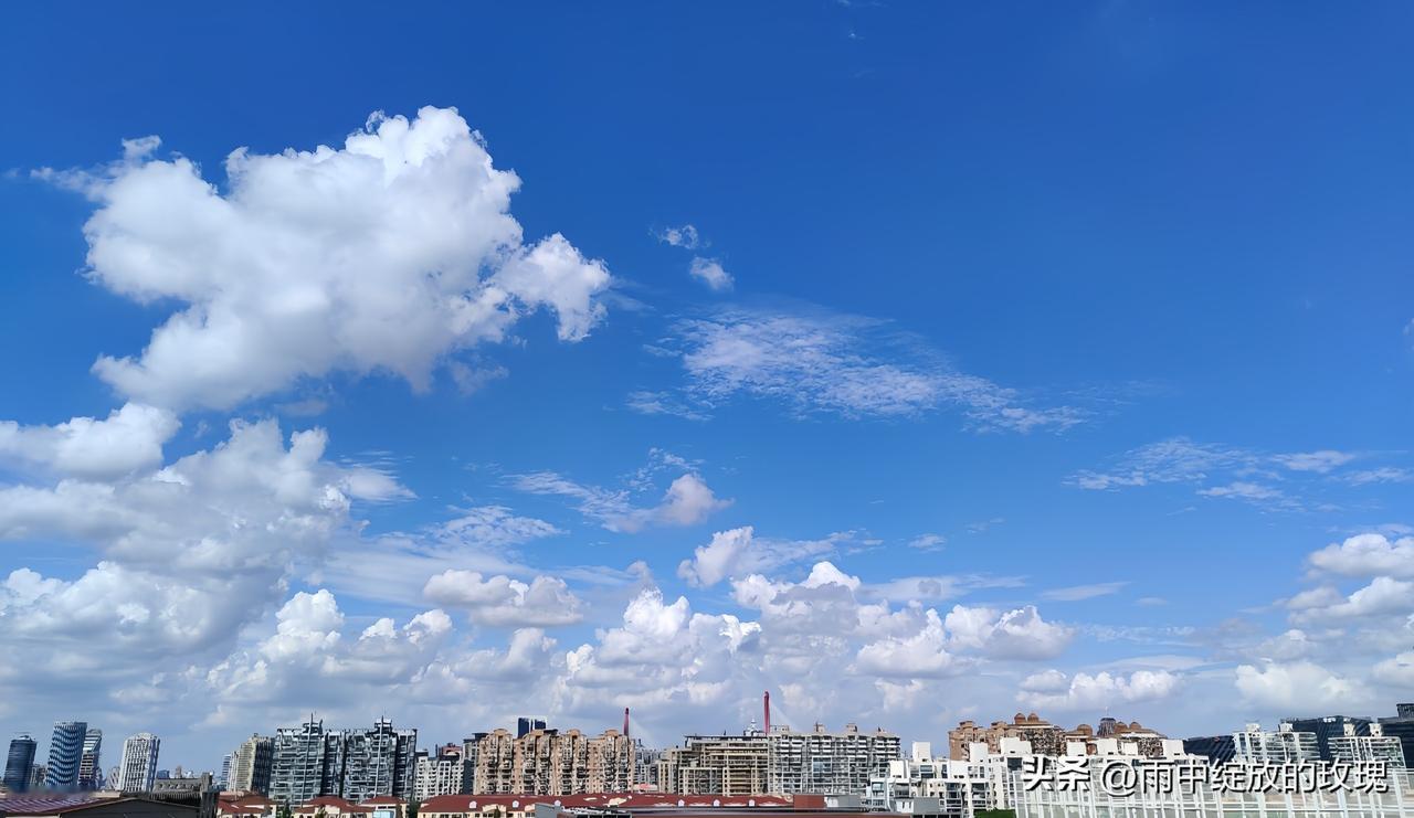 特朗普若放弃斡旋乌克兰，后果立竿见影。

美援一断，乌军“爱国者”防空系统、“海