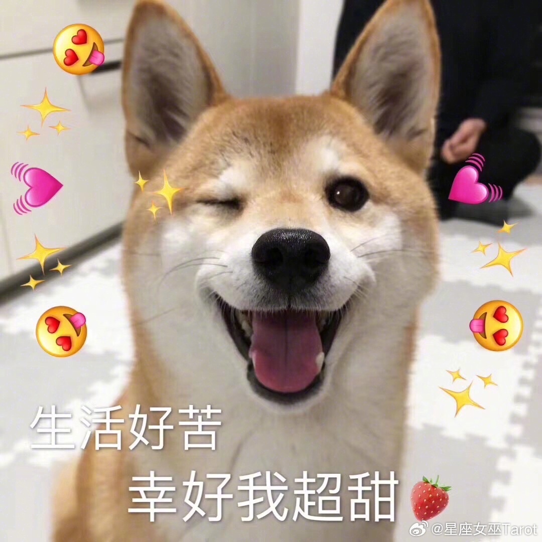 十二星座的爱情是什么颜色？白羊：红色，热烈直接金牛：米色，温暖踏实双子：黄色，明