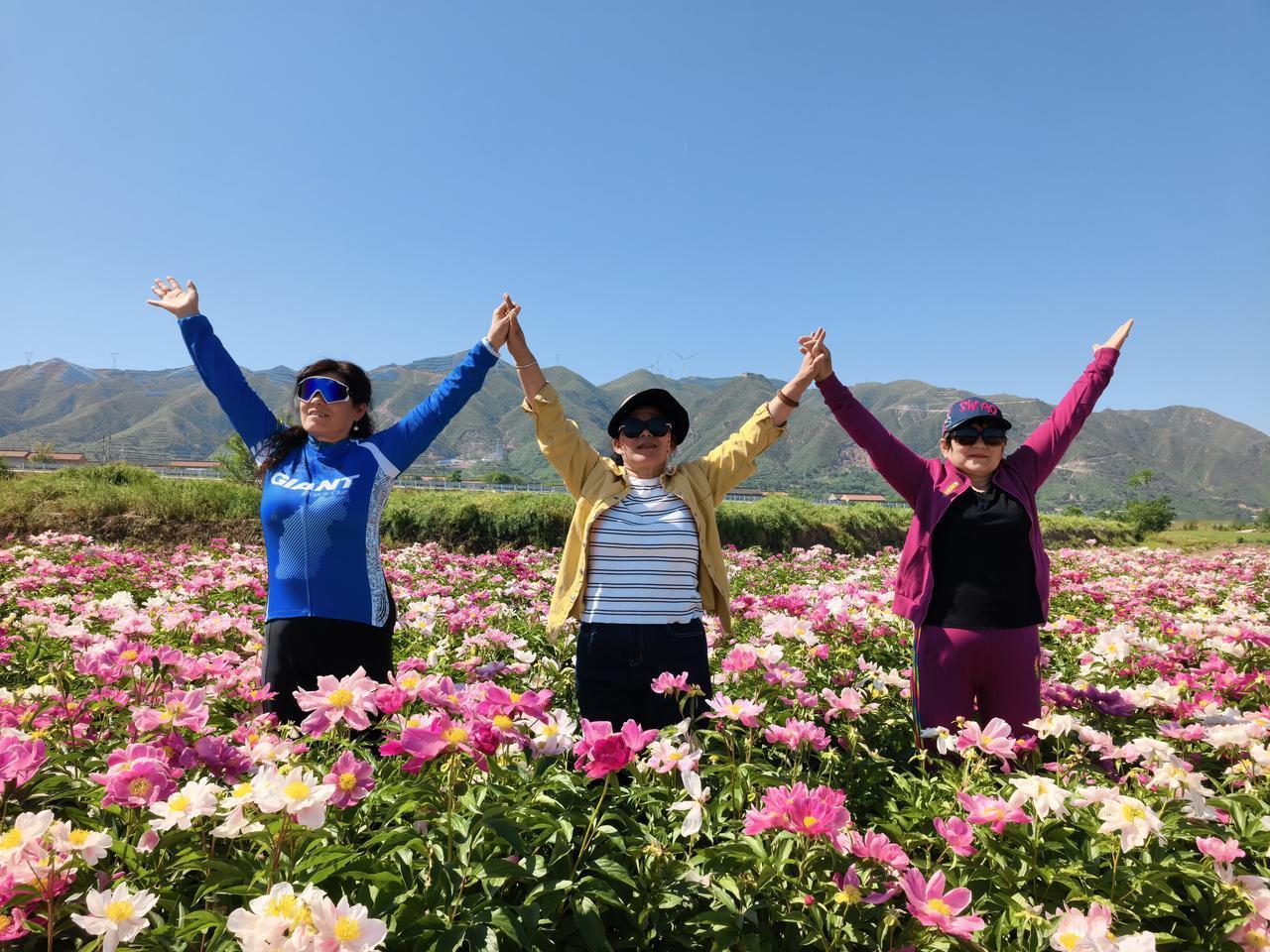退休小老太，也喜欢凑热闹。

这不，昨天在抖音刷到美女打卡芍药地，今天迫不及待就