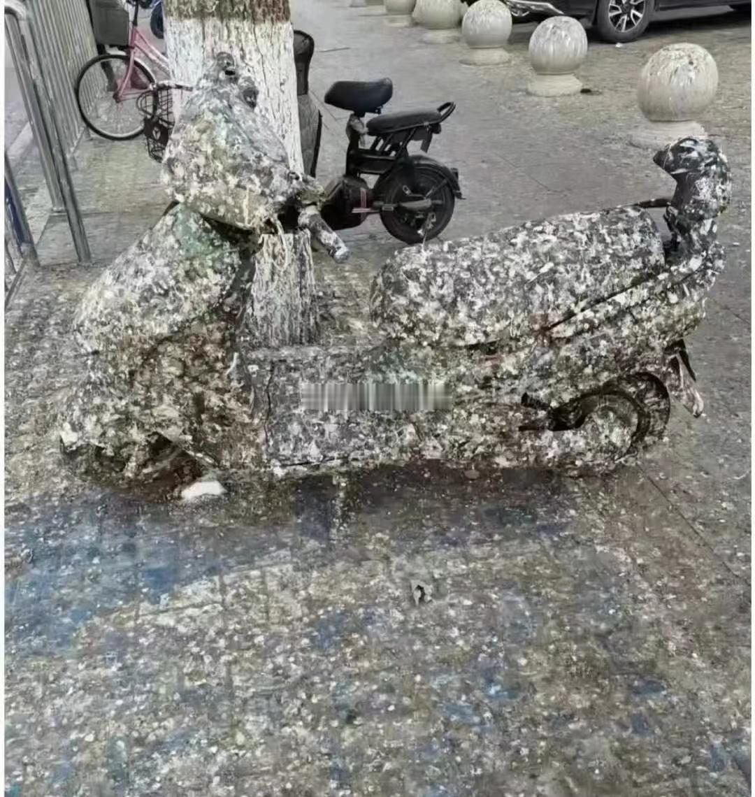 这台摩托经历了啥？？？咋成这样了呢？？？ 海阔试车超话 ​​​