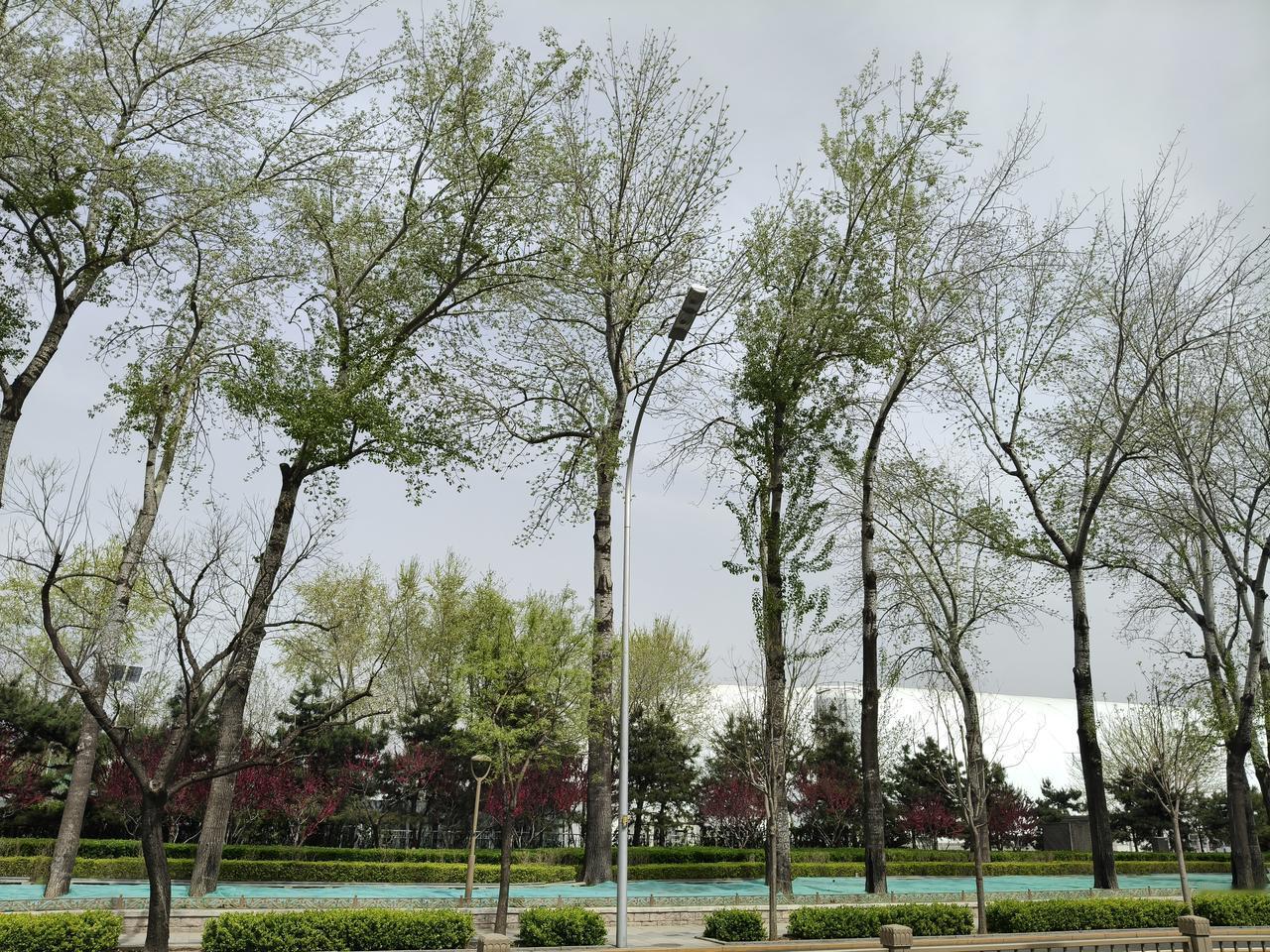 下联；秋观千树叶落。邀对上联春常万象更新，