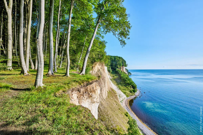 【这里是德国】德国自然名片之雅斯蒙德国家公园(Jasmund National 