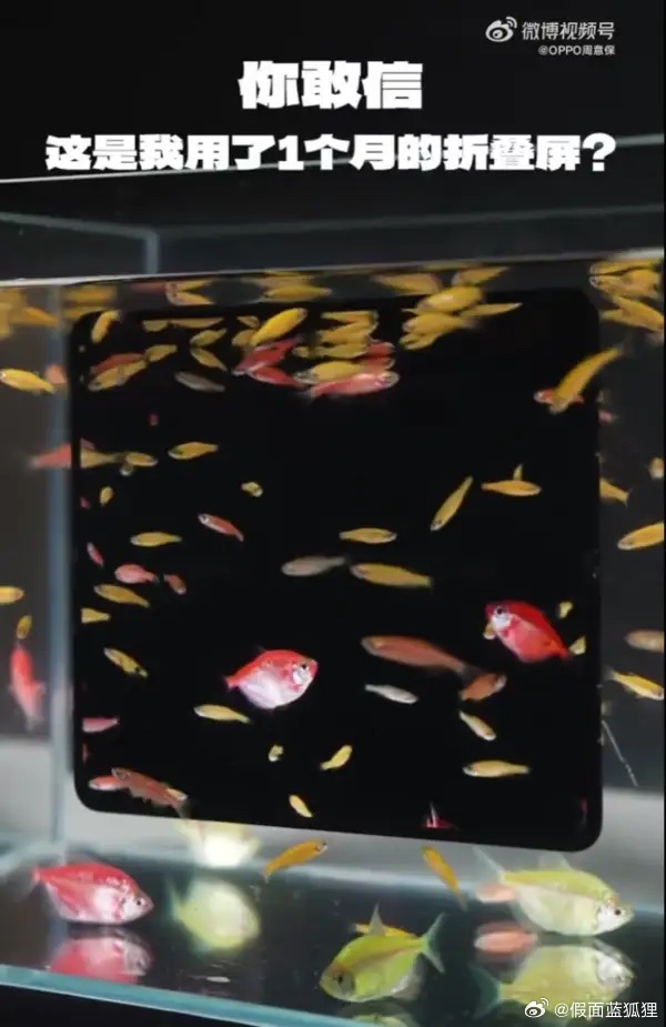 数码闲聊站  周意保晒OPPO Find N6“满级防水”：使用一月几乎无痕 