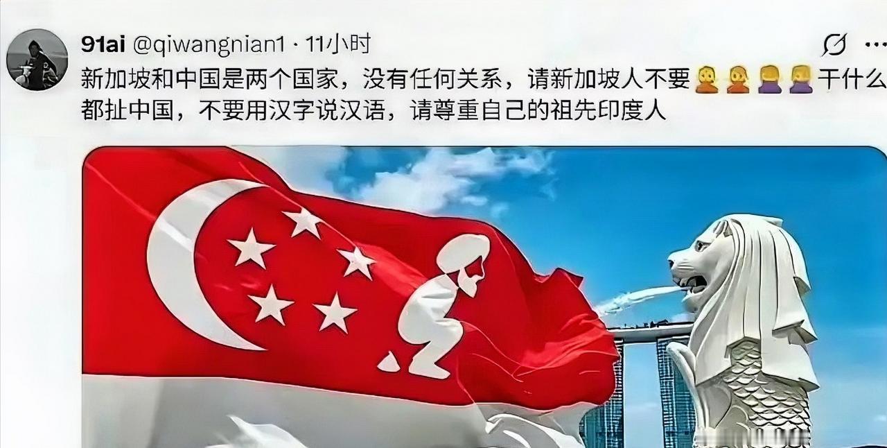 恶搞新加坡国旗的梗图在外网传疯了，“印家坡”这三个字，直接把当地人气炸了

这张