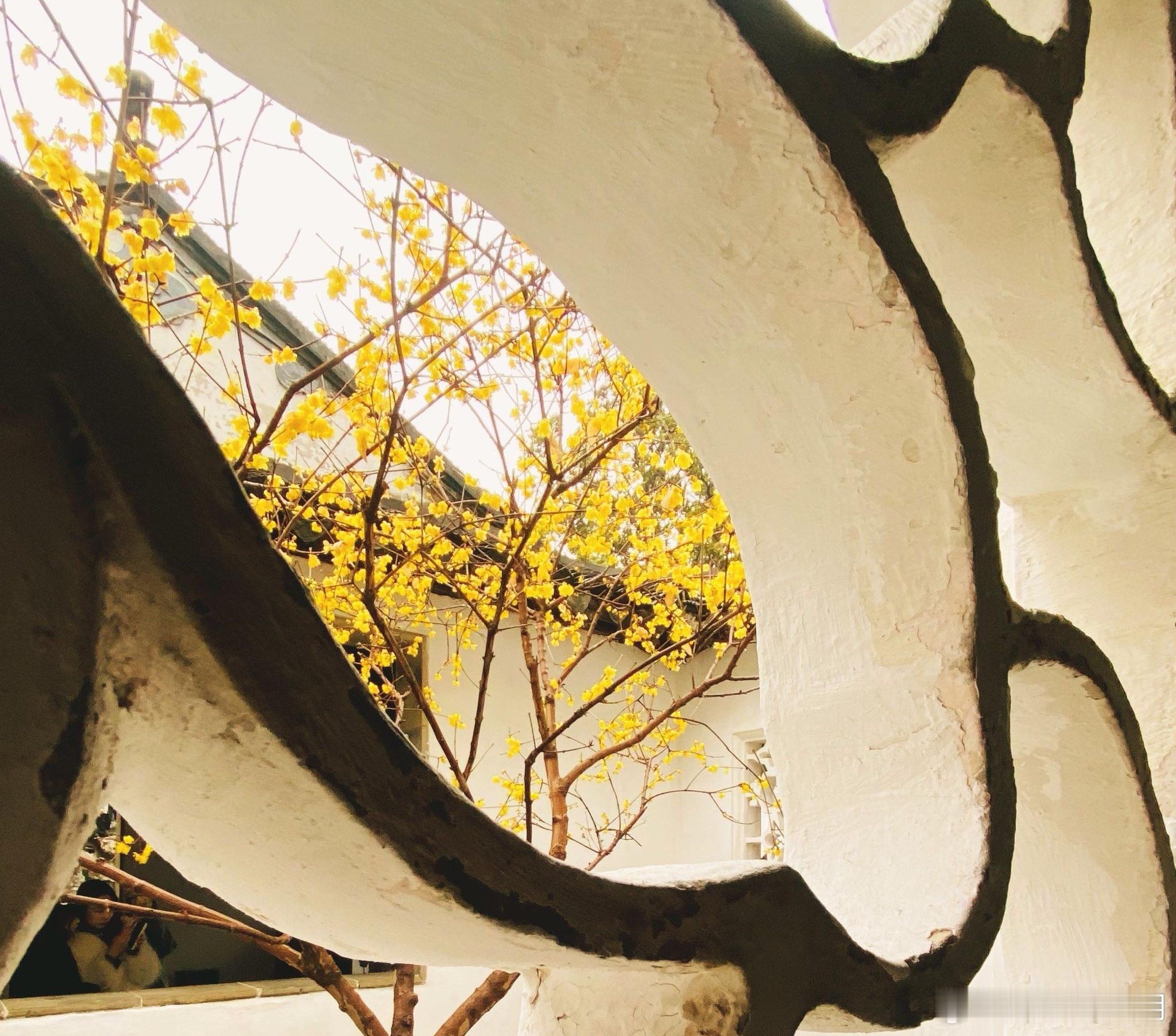 心里话       没有绝对正确的选择题答案，敢选就赢了一半……       